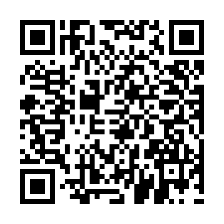 QR code for 5N1291P