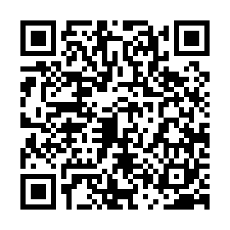 QR code for 5P4161N