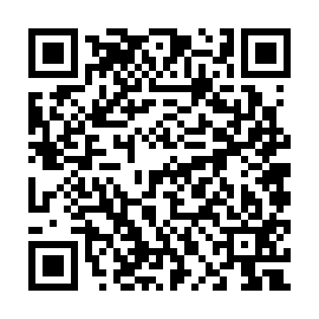 QR code for 60F313G