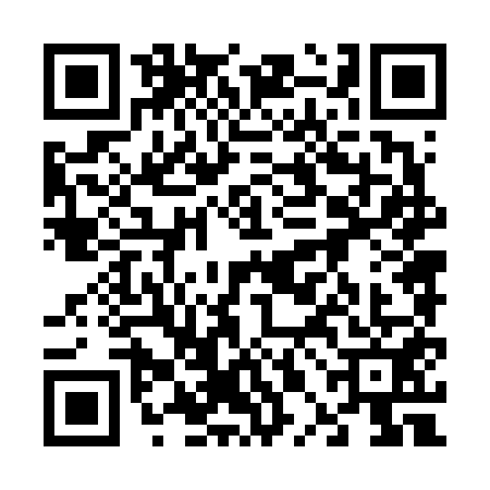 QR code for 60N6511