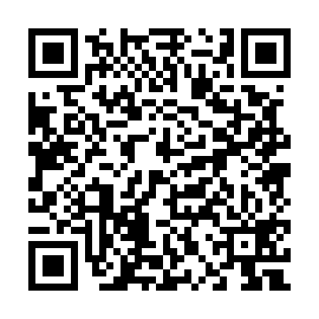 QR code for 60P519S