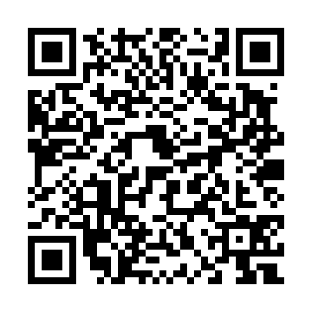 QR code for 60PT347