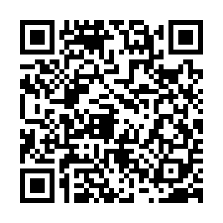 QR code for 60SS595