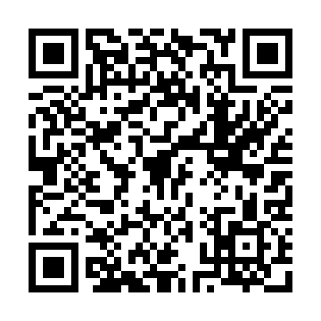 QR code for 60T339Z