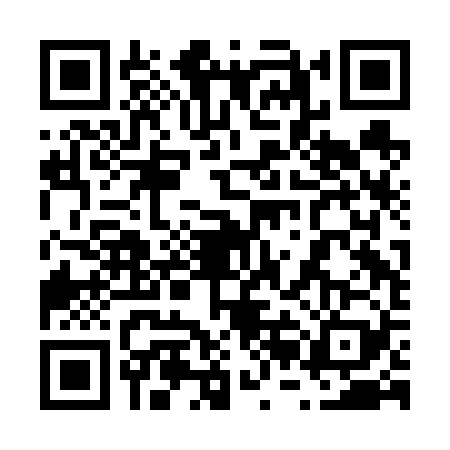 QR code for 62BF294