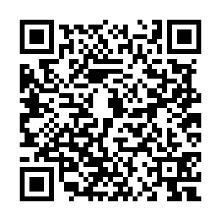 QR code for 62RM313