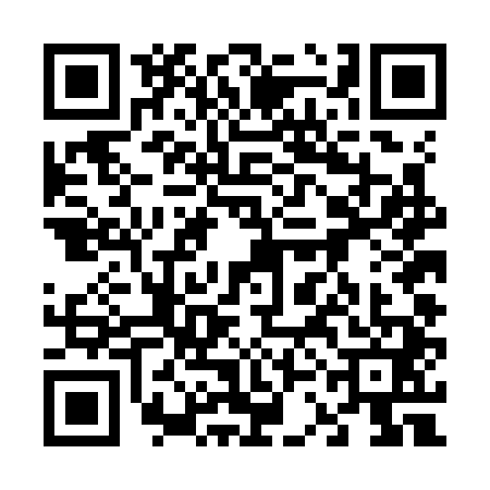 QR code for 63DK410