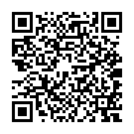 QR code for 63DPY11