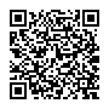 QR code for 63DV021