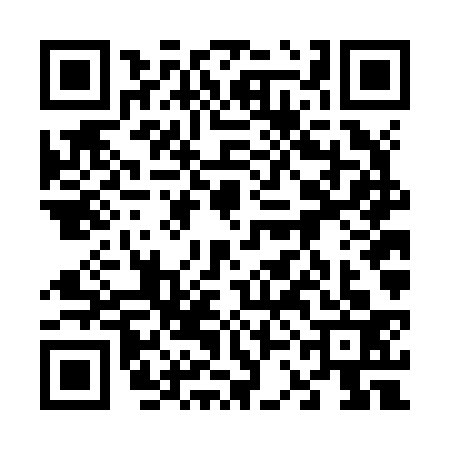 QR code for 63FJ333