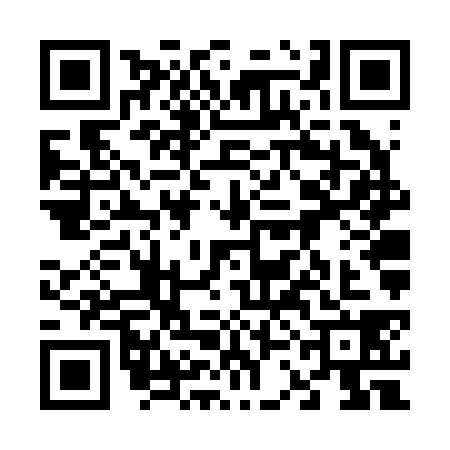 QR code for 63FR383