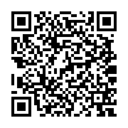 QR code for 63FT618