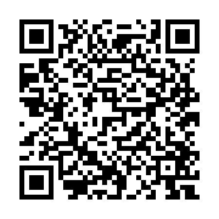 QR code for 63HK466