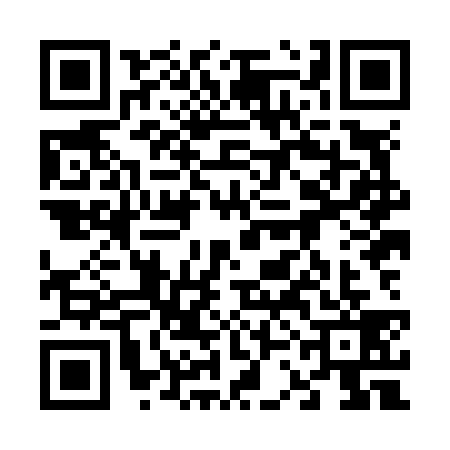 QR code for 63HN393
