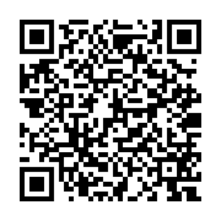 QR code for 63JPM66
