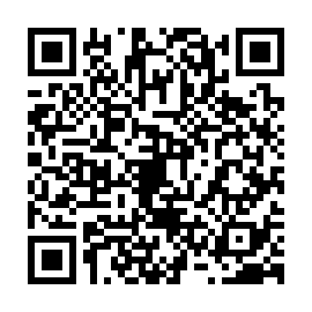 QR code for 63M338N