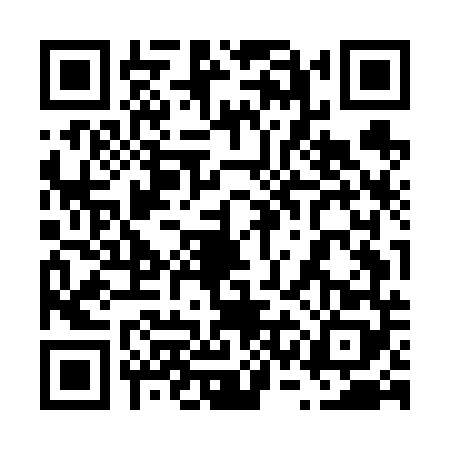 QR code for 63MF480