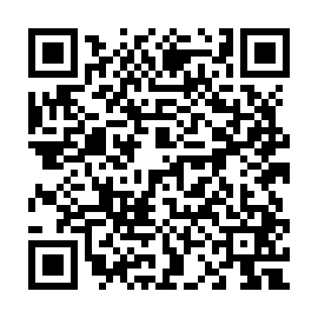 QR code for 63MJ419