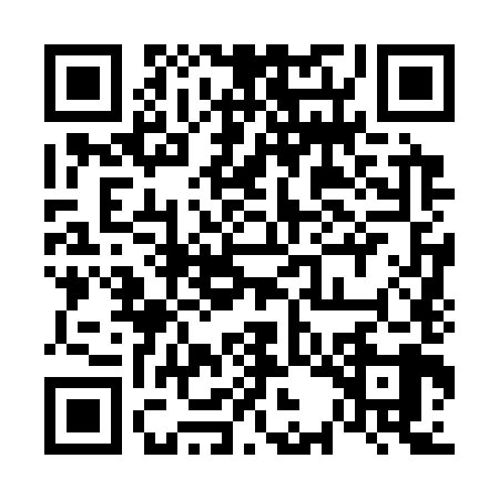 QR code for 63N389M