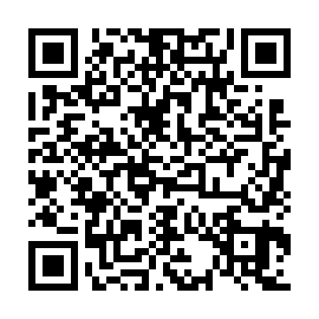QR code for 63N661P