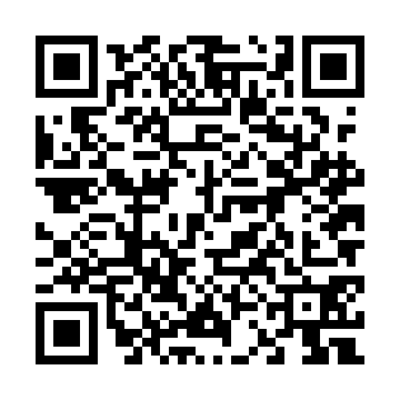 QR code for 63NAG06