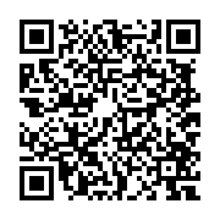 QR code for 63NL479