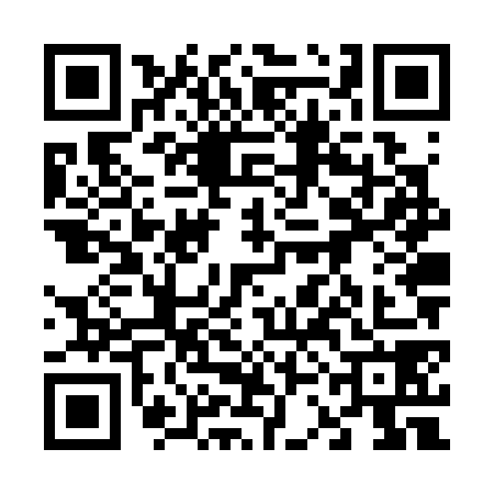 QR code for 63NS789