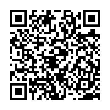 QR code for 63PF531