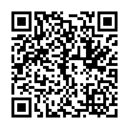 QR code for 63PHL60