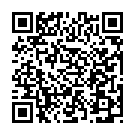 QR code for 63PL413
