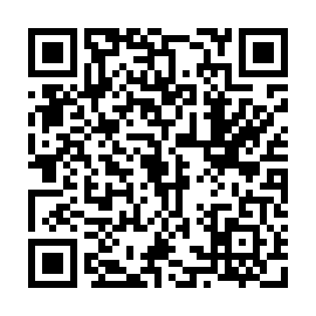 QR code for 63PM019