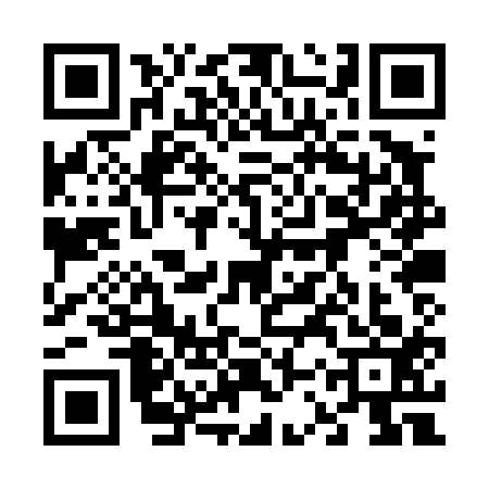 QR code for 63PT136