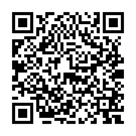 QR code for 63PZ401