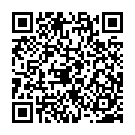 QR code for 63PZ658