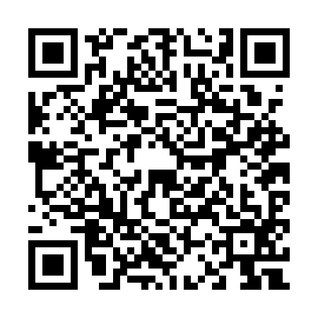 QR code for 63RAY63