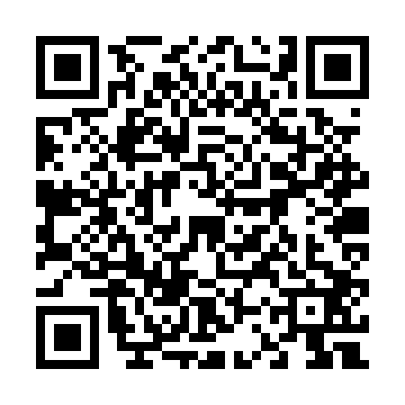 QR code for 63RPP29