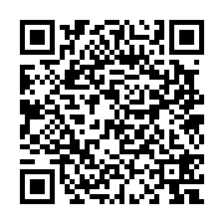 QR code for 63S0287