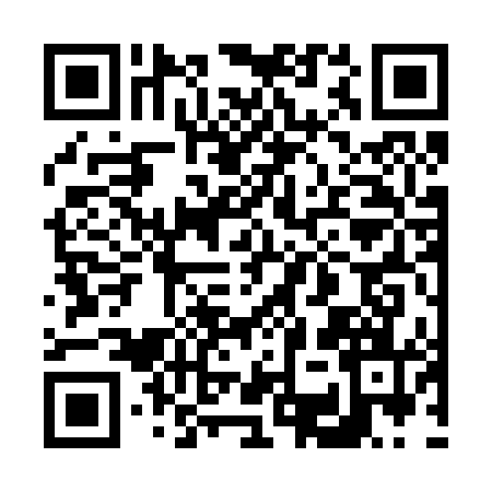 QR code for 63S241Y