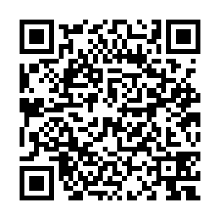 QR code for 63SAS81