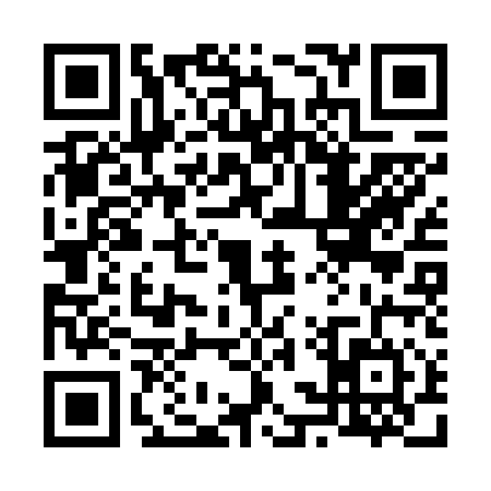 QR code for 63SF147