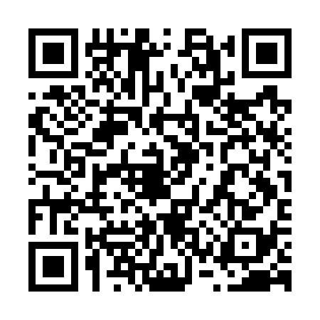 QR code for 63SG381