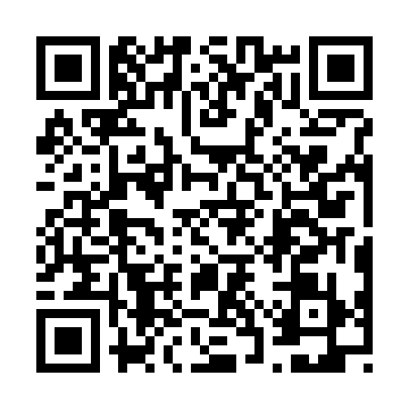 QR code for 63SG390