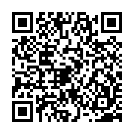 QR code for 63SP961