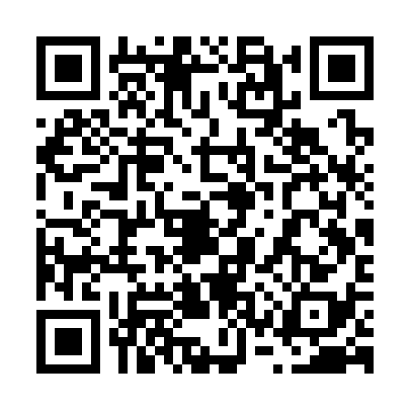 QR code for 63SS382