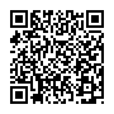 QR code for 63SSY99