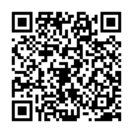QR code for 63TP911
