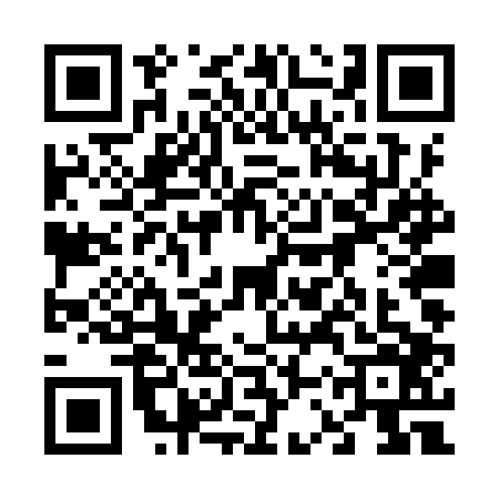 QR code for 63TYP65
