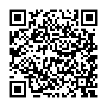 QR code for 63W0811