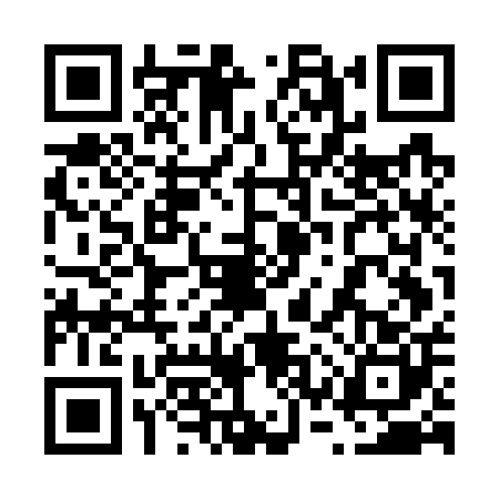 QR code for 63WG009