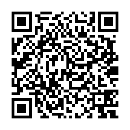 QR code for 63ZT381